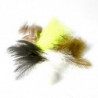 Cul de canard MDC