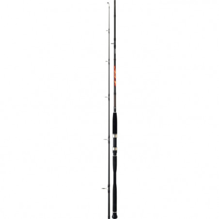 DP23 - Canne à silure Daiwa Megaforce Big Fish