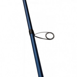 DP23 - Canne Mitchell Riptide R Spinning