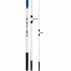DP23 - Canne Mitchell Surf Riptide Surfcasting
