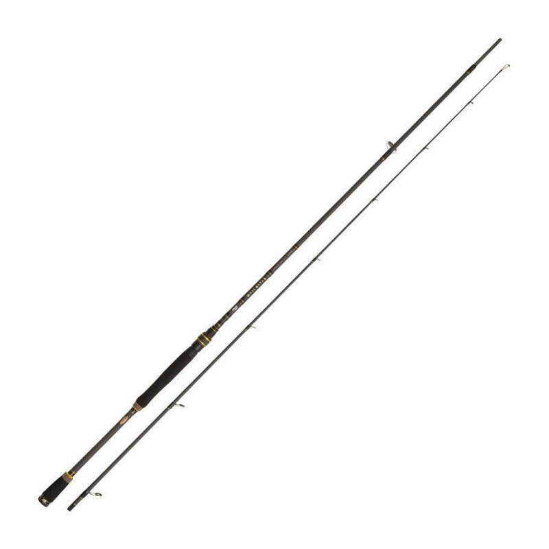 DP23 - Canne Spinning Abu Garcia Mass Beat II