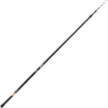 DP23 - Canne téléscopique Mitchell Epic R Adjustable