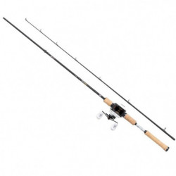 DP23 - Ensemble Abu Garcia...