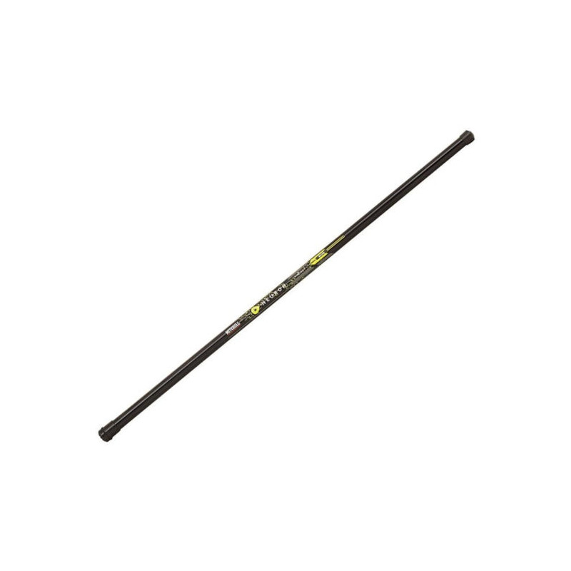 DP23 - Ensemble Coup Mitchell Neuron Pole