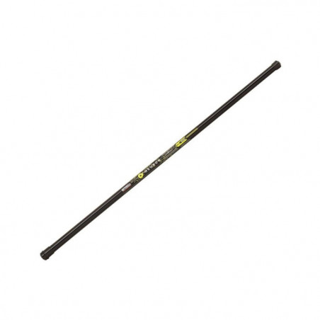 DP23 - Ensemble Coup Mitchell Neuron Pole