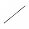 DP23 - Ensemble Coup Mitchell Neuron Pole