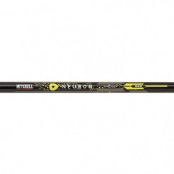 DP23 - Ensemble Coup Mitchell Neuron Pole
