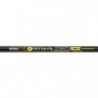 DP23 - Ensemble Coup Mitchell Neuron Pole