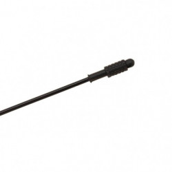 DP23 - Ensemble Coup Mitchell Neuron Pole