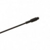 DP23 - Ensemble Coup Mitchell Neuron Pole