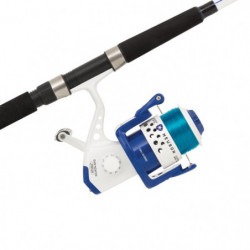 DP23 - Ensemble Mitchell...