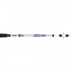 DP23 - Ensemble Mitchell Neuron Boat