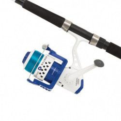 DP23 - Ensemble Mitchell Neuron Boat