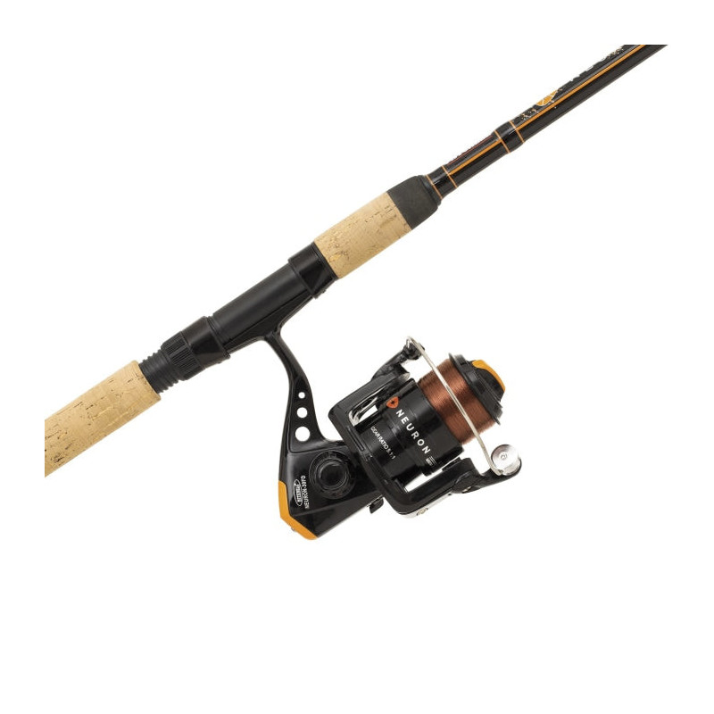 DP23 - Ensemble Mitchell Neuron Twin tip