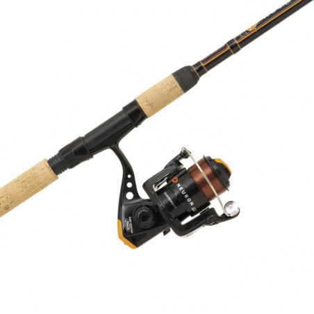 DP23 - Ensemble Mitchell Neuron Twin tip
