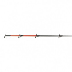 DP23 - Ensemble Mitchell Neuron Twin tip