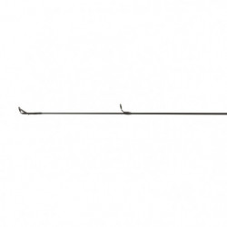 DP23 - Ensemble Mitchell Neuron Twin tip