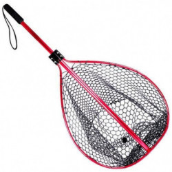 DP23 - Epuisette Berkley Telescopique Catch N Release