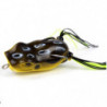 DP23 - Grenouille de Surface