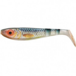 DP23 - Leurre Abu Garcia...