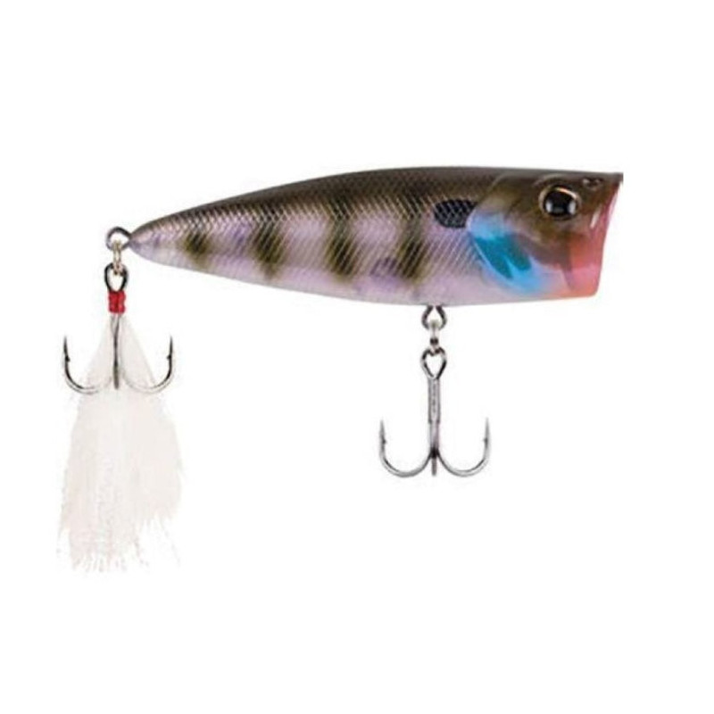 DP23 - Leurre de surface Berkley Bullet Pop - 8 cm - Destockage