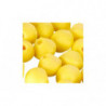Embouts de rechange Peltor 3M™ E-A-R™ pour arceau E-A-RCaps™