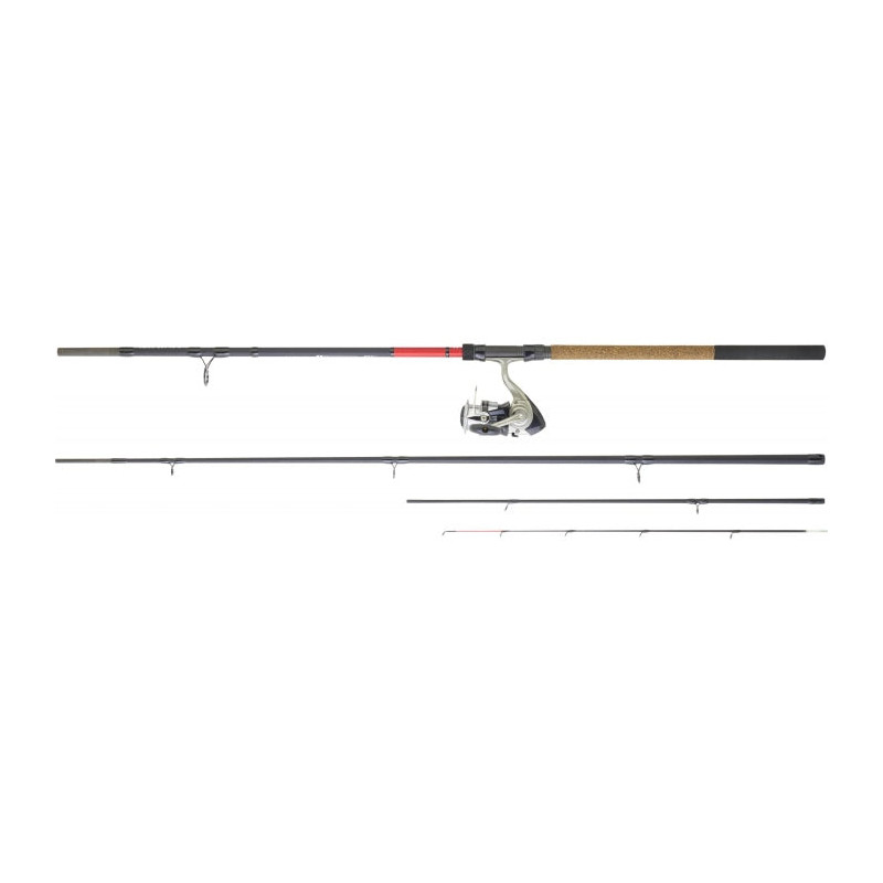 Ensemble Daiwa Feeder 06