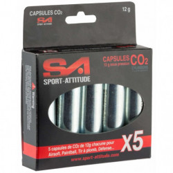 5 sparclettes 12 g de CO2
