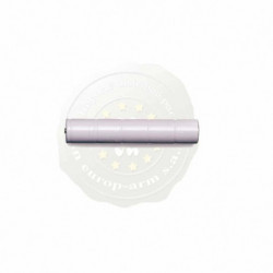 Accu rechargeable Mag Lite