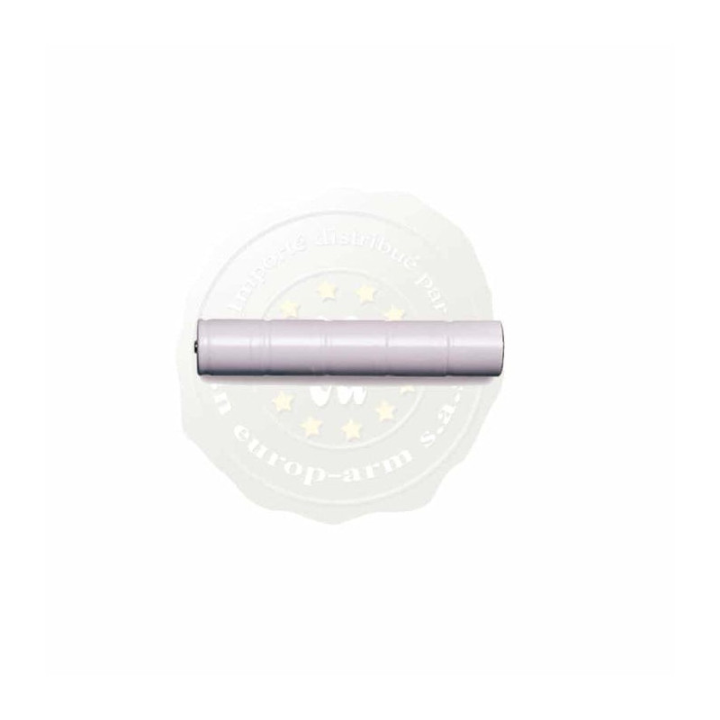 Accu rechargeable Mag Lite
