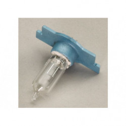 Ampoule de Torche...