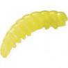 Appât Berkley PowerBait Honey Worm - Par 25