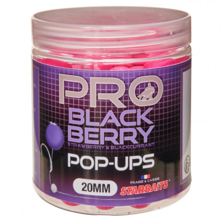 Appât Pro Blackberry Pop Up 20mm - Starbaits - 80gr
