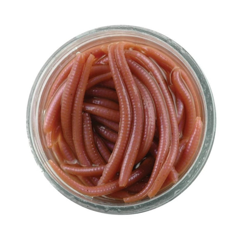 Appâts Berkley Gulp Alive Angle Worm 3 cm - Par 60