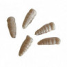 Appâts Berkley Gulp Alive Waxies 1 cm - Par 40