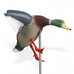 Appelant colvert ailes...