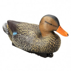 Appelant colvert femelle HD...