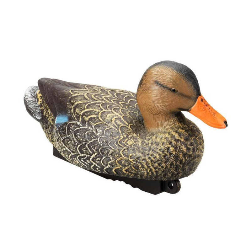 Appelant colvert femelle HD Stepland