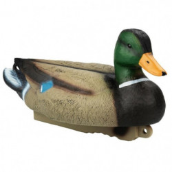 Appelant colvert magnum...