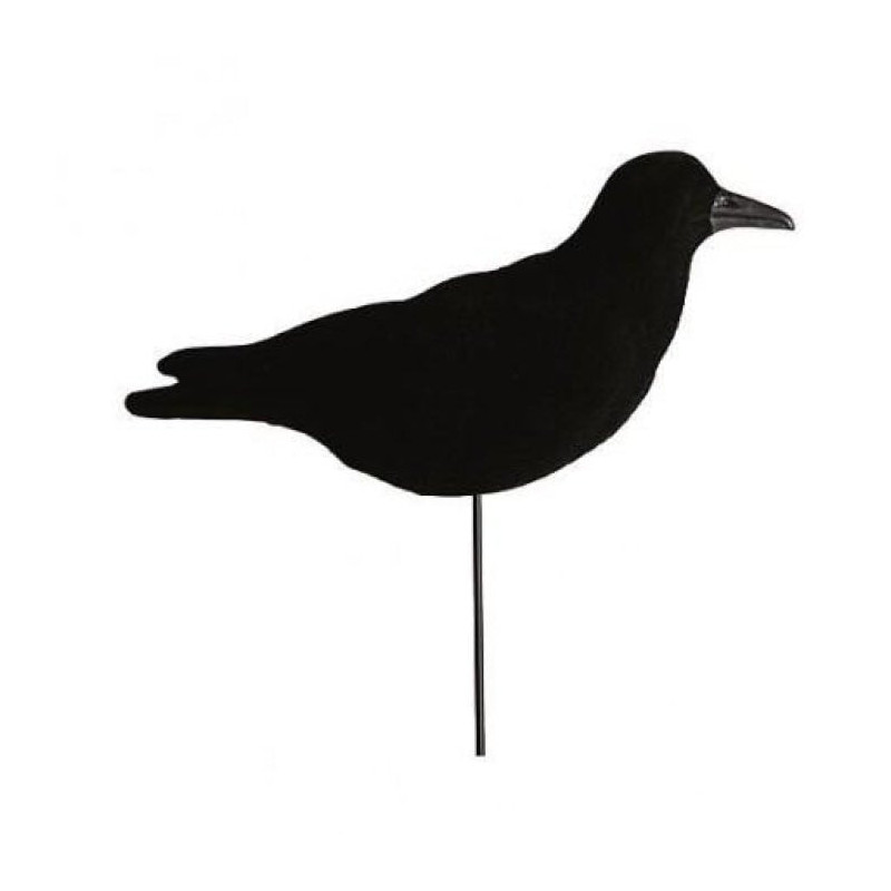Appelant corbeau Stepland Floqué sur pique