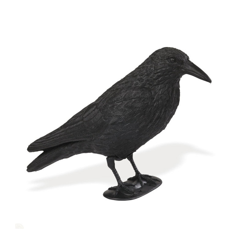 Appelant corbeau sur pied Stepland