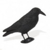 Appelant corbeau sur pied Stepland