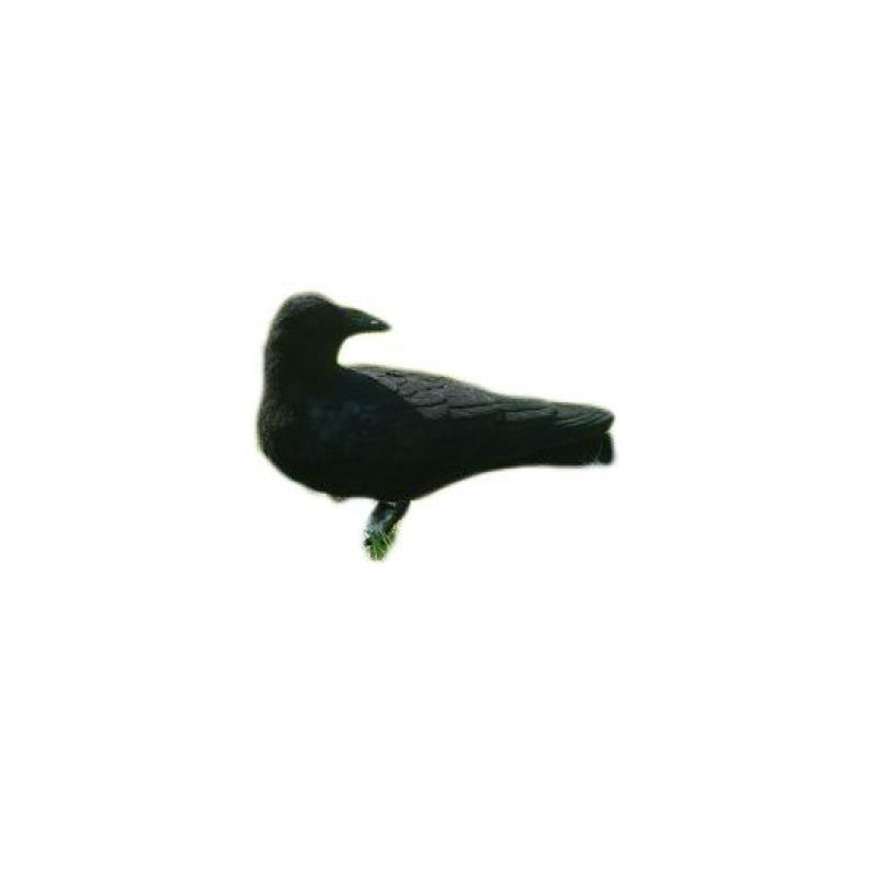 Appelant corbeau tête tournée floqué Stepland