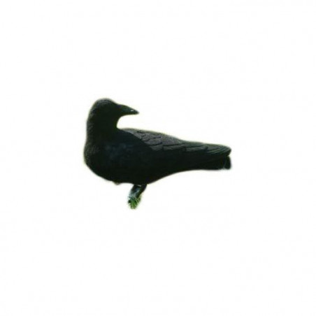 Appelant corbeau tête tournée floqué Stepland
