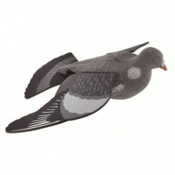Appelant Fuzyon Pigeon en...