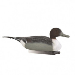 Appelant mousse pilet male...
