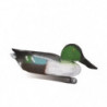 Appelant mousse souchet male Stepland