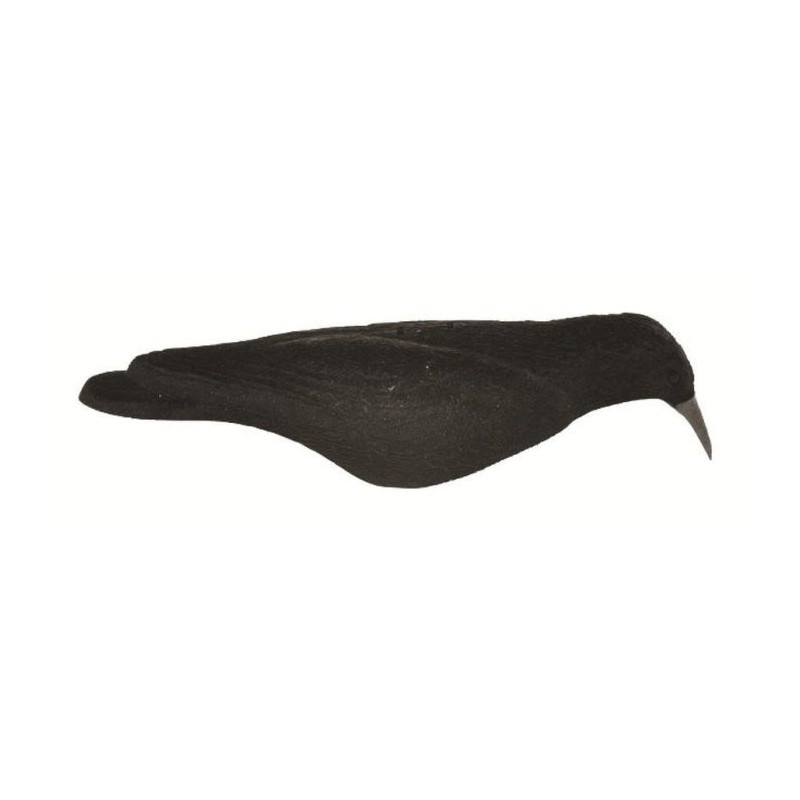 Appelant plastique Fuzyon Corbeau coque floquée