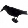 Appelant plastique Fuzyon Corbeau floqué sur pattes
