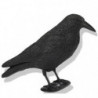 Appelant plastique Fuzyon Corbeau sur pattes